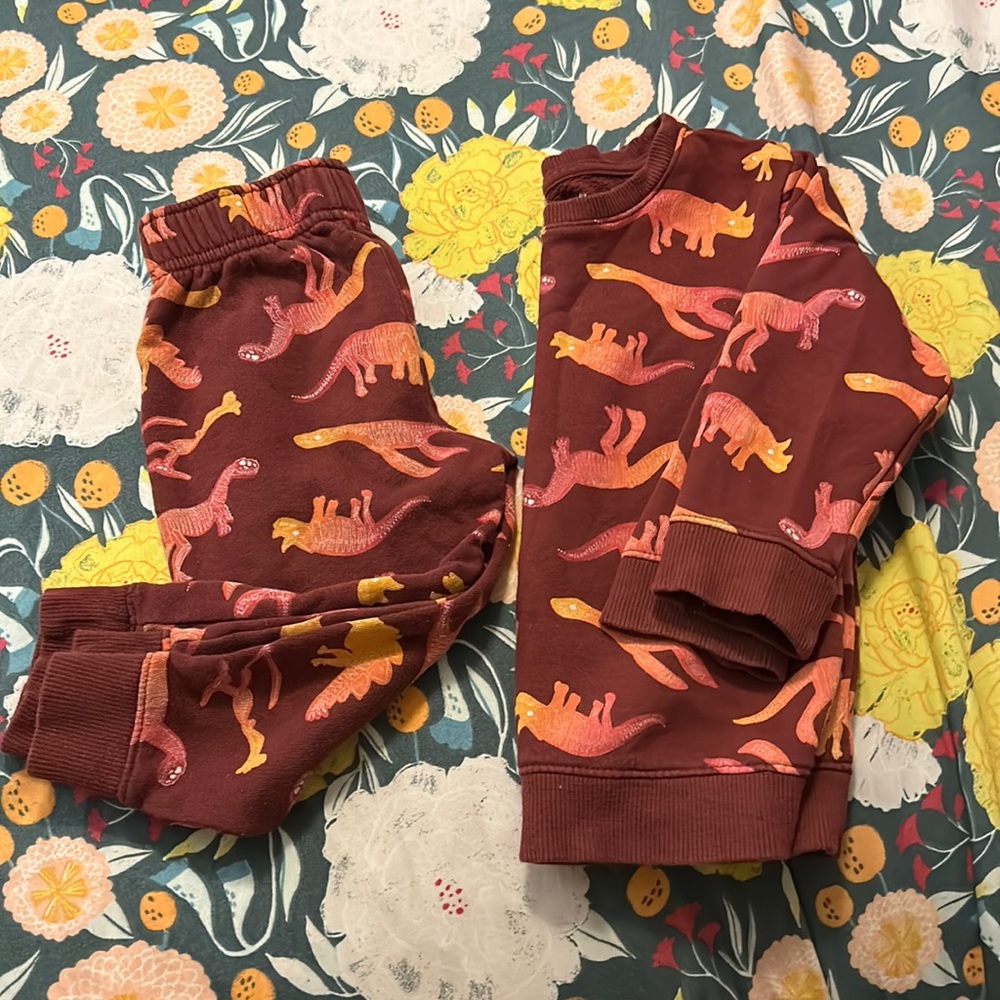 2t/3t Dinosaur sweatsuit